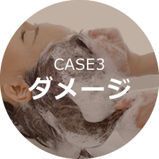 CASE3ダメージ