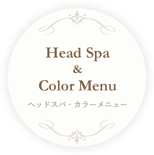 Hair Menu and Color Menu